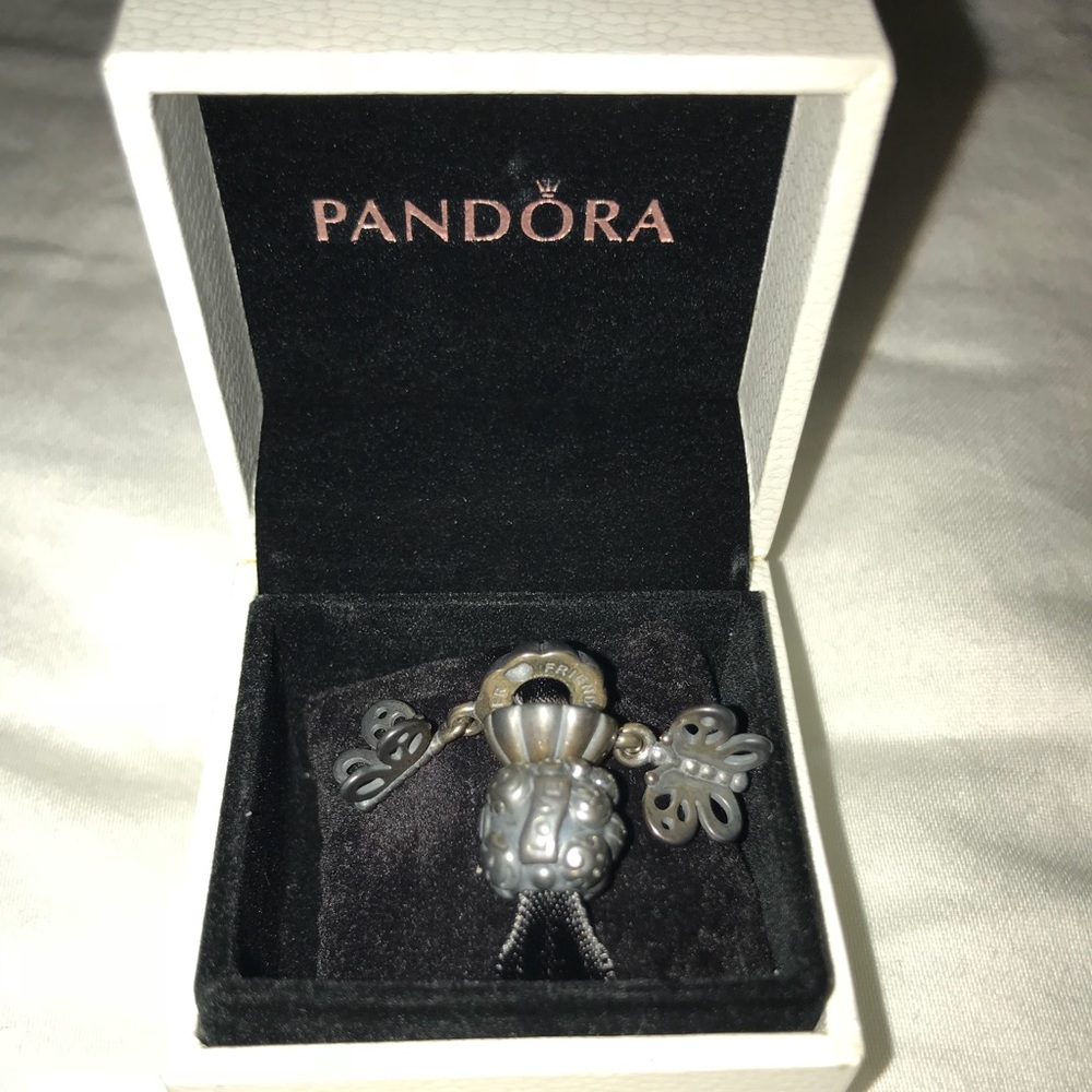 Pandora Butterfly and Family Charms